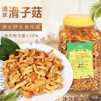 滑子菇《罐头》,金麦田提供,放心购买