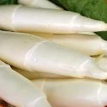 带皮茭白,金麦田提供,放心购买