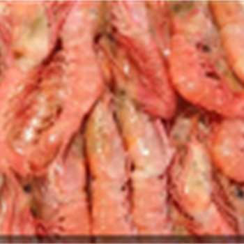 红壳虾 (大),金麦田提供,放心购买