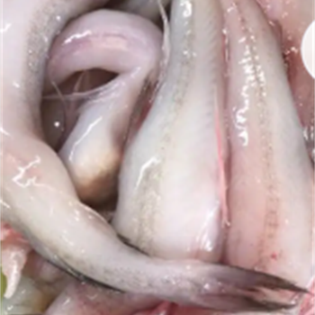 水潺（大）,金麦田提供,放心购买