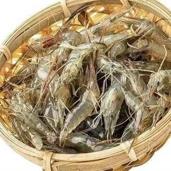小湖虾  草虾（活）,金麦田提供,放心购买